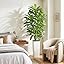 Green|white Pot