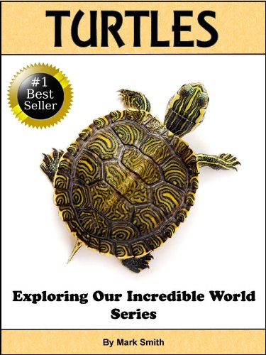 Incredible Turtles Fun Animal Books For Kids With Facts Incredible Photos Exploring Our Incredible World Series Kindle Edition By Smith Mark Children Kindle Ebooks Amazon Com