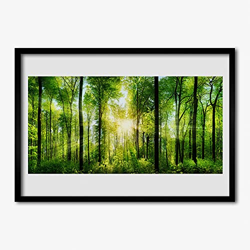 Affiche encadrée 70x50 cm de nature forestière Tulup