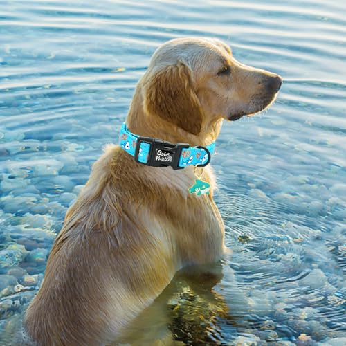 Image of Dog Collar-Cute Shark Adjustable Pet Collars Soft Comfortable Puppy Collar Coral Cotton Dog Collars Durable Necklace Gift for Medium Dogs