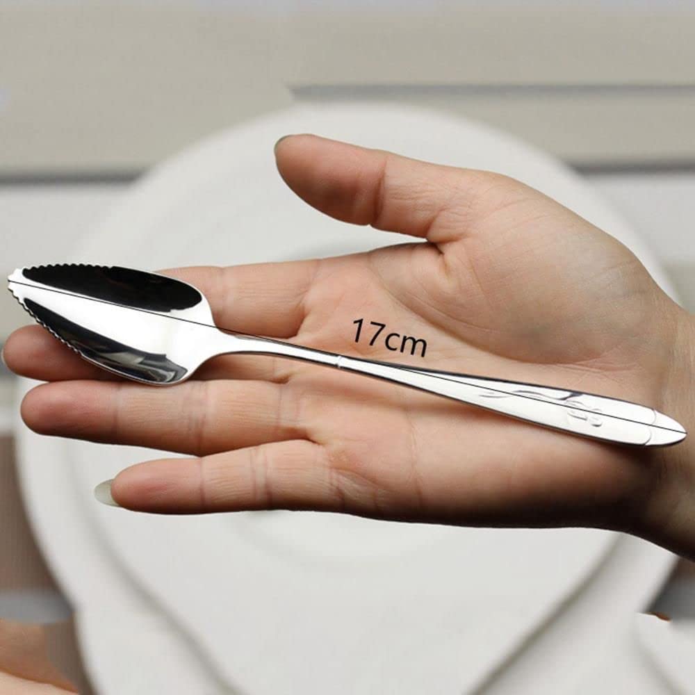 Cuillère à Pamplemousse Dentelée En Inox 304 - Ustensile De Cuisine Pour Fruits, Crème Glacée, Mélange De Boissons