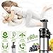 Juicer Machine Portable Vertical Cold Press Juicers BPA-free Reversal Function Slow Masticating Juice Extractor with Clean Brush and Juice Jug