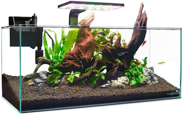 imagitarium Shallow Glass Shrimp & Aquatic Plants Aquarium 6.8 Gallons