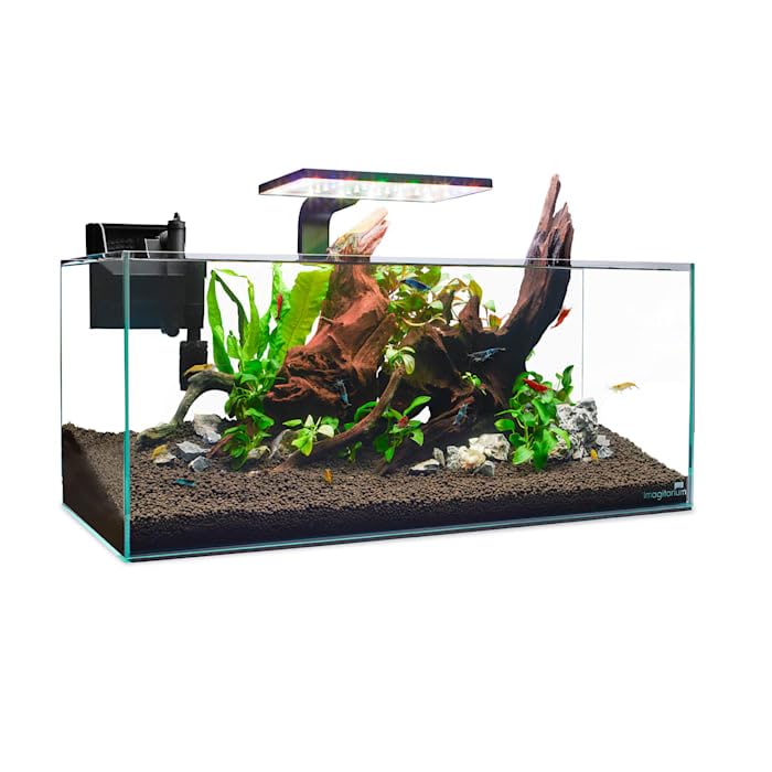 Shallow Glass Shrimp & Aquatic Plants Aquarium 6.8 Gallons