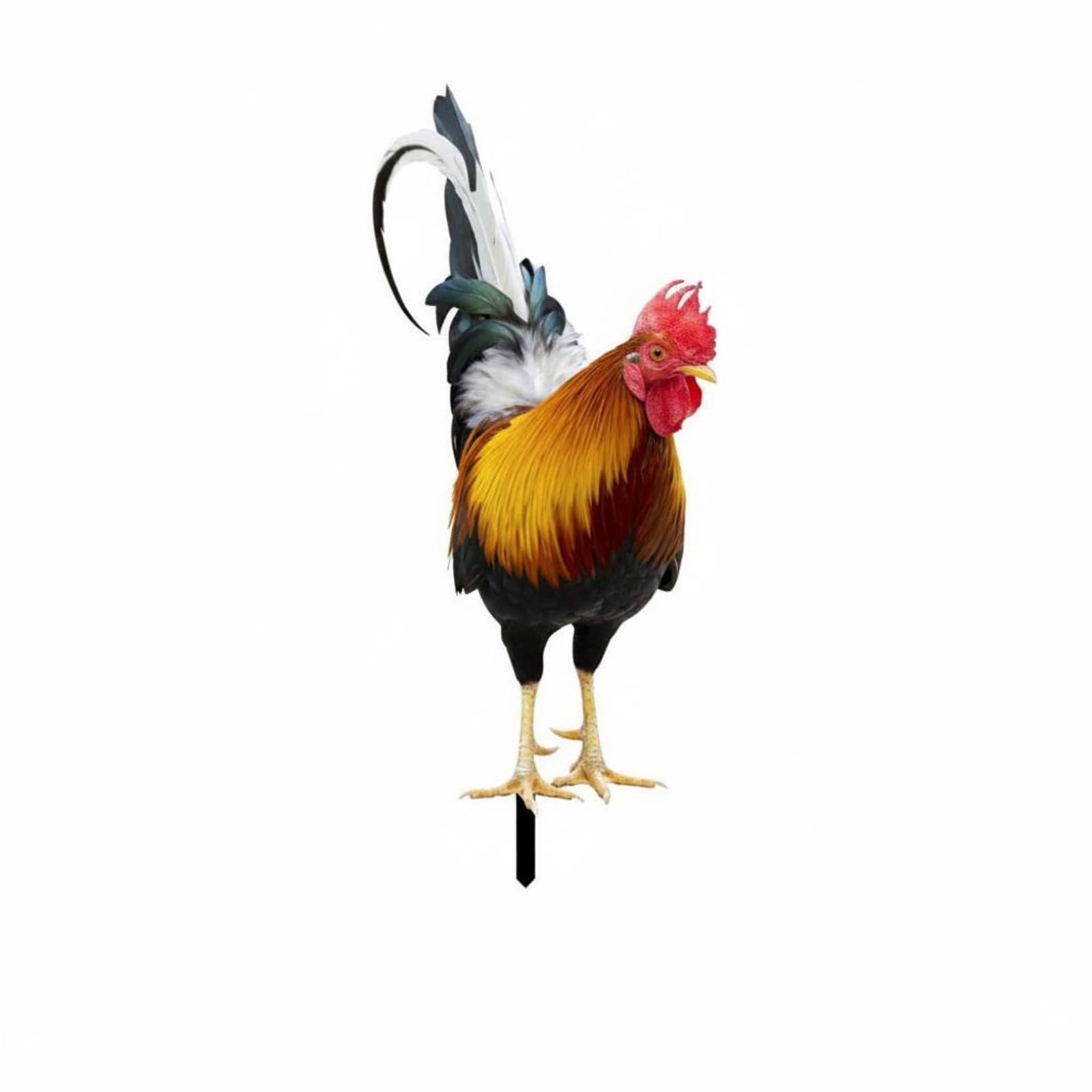 Long-Lasting Metal Chicken Stake Weather Resistant Hen Lawn Stake Metal Chicken Yard Art Waterproof for Outdoor, Jsty352-a|Home & Garden | Yard Garden & Outdoor Living-image-31
