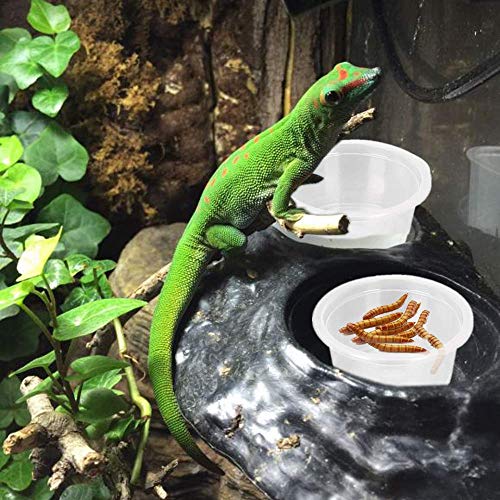 WOLEDOE 100Pcs Crested Gecko Food Dish, 0.5oz Plastic Reptile Feeding Cups - Image 5