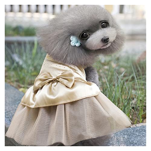 PROEES Roupas para animais de estimação vestido para cachorro camisetas terno pequeno médio roupas p