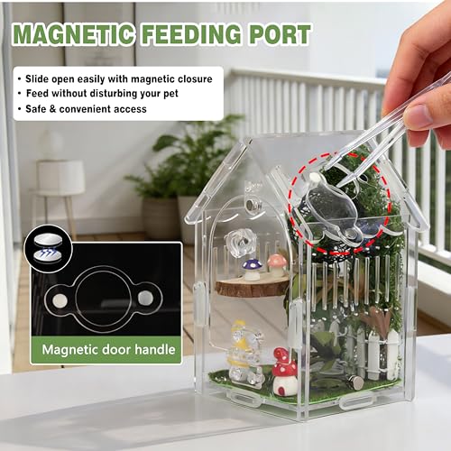 Image of Acrylic Jumping Spider Enclosure with Magnetic Lock & Feeding Port