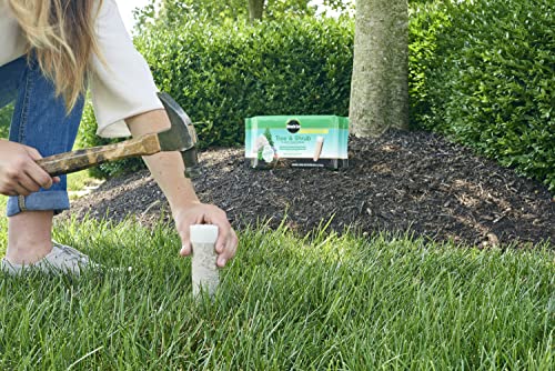 Image of Miracle-Gro Tree & Shrub Plant Food Spikes, 12 Spikes (2-Pack) | For Deciduous, Flowering and Evergreen Trees, Hydrangeas, and Acid-Loving Plants