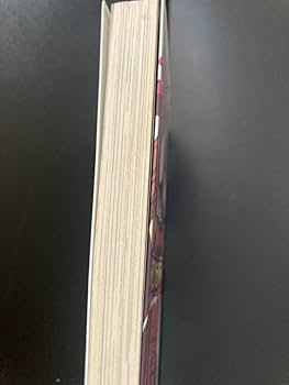 レッスンエンジェルス2 71lLhn28SuL._UF350,350_QL80_.jpg