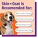 Pet Naturals Skin and Coat for Dogs with Dry, Itchy and Irritated Skin, 30 Chews - Salmon Oil, Vitamin E and Flax Oil - No Corn or Wheat - Vet Recommended