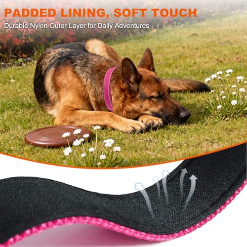 Image of Taglory Reflective Extra Large Dog Collar, Comfortable for Safe Night Walks