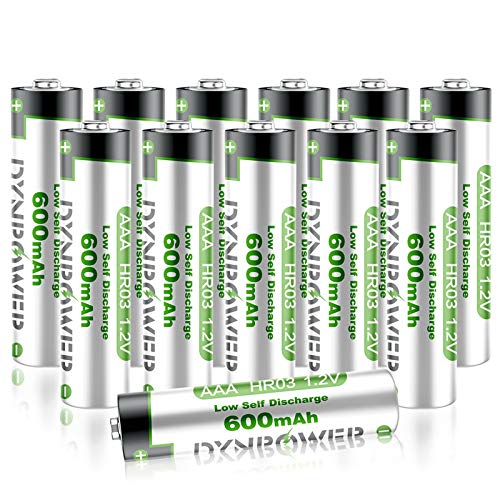12PCS NiMH AAA 600mAh Rechargeable Batteries for Solar Garden Lights, Dynpower Pre-Charged Triple A High Performance Wide Temperature Range for String Lights, TV Remotes, Wireless Mouses, Flashlight…