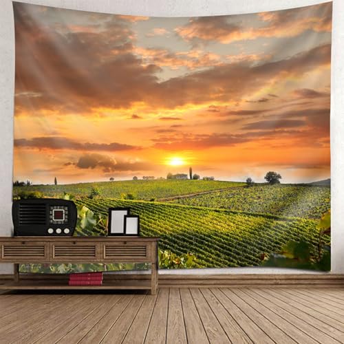 Tenture murale paysage grand format 240x220 pour habiller un grand mur