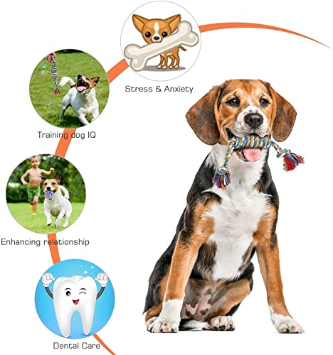 Image of Tail Dog Toys + Dog Chew Toys + Puppy Teething Toys + Rope Dog Toy + Dog Toys for Small to Medium Dog Toys + Dog Toy Pack + Tug Toy + Dog Toy Set + Washable Cotton Rope for Dogs(Pack of 7)