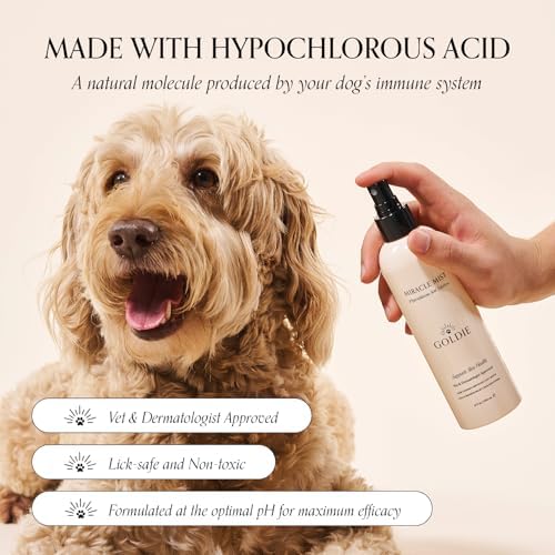 Goldie Dog Essentials Paw Care Bundle with Hypochlorous Spray & Wipes image 4