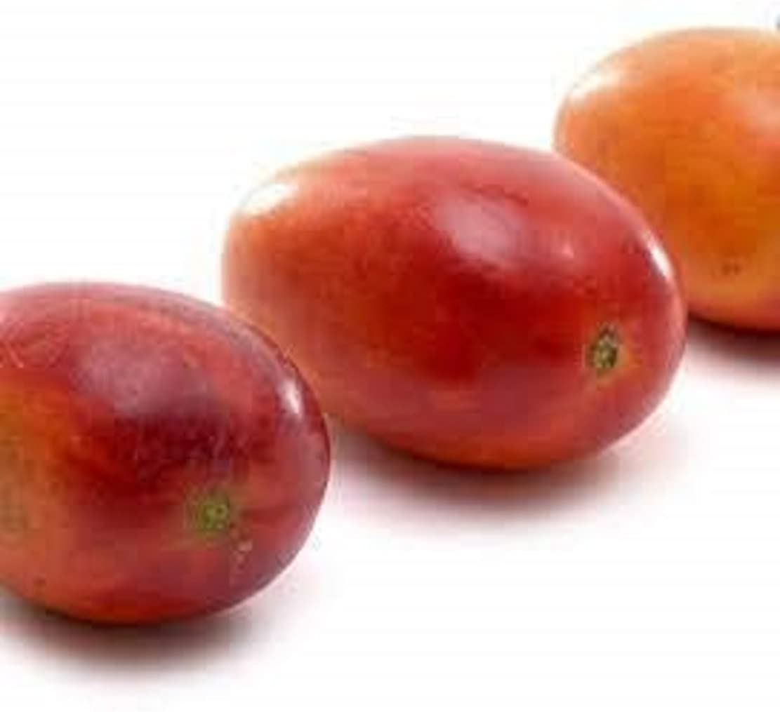 Baishnab African Red Mango - Grafted Live Plant