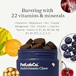 PetLab Co. 22 in 1 Dog Multivitamin - Support Dog's Immune Response, Skin, Coat, Joints & Overall Health - Vitamins A, E, D, B12, Minerals, Antioxidants - Chewable Pork Flavor - Packaging May Vary - Image 4