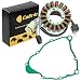 Caltric Stator & Gasket Fits YAMAHA BEAR TRACKER 250 YFM250X 2001 2002 2003 2004 ATV NEW