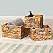 Honey-Can-Do Banana Leaf Storage Baskets –Water Hyacinth Woven Basket, Decorative Baskets for Shelves, Basket for Gifts, Closet, Pantry, and Home Organization, Set of 3, Multi-Size