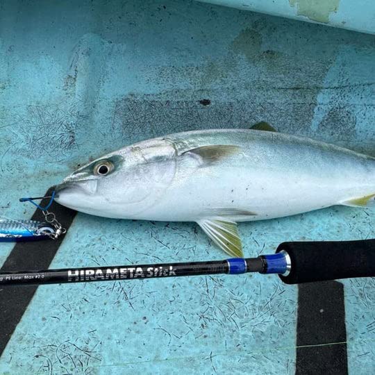 Amazon | アズーロ ヒラメタスティック 60S スピニング ロッド