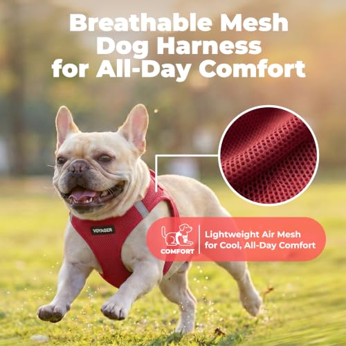 Image of Voyager Step-in Air Dog Vest Harness - Burgundy, X-Large