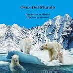 Osos del Mundo Libro Para Niños: Gran manera para que los niños conozcan y aprendan sobre los osos del mundo.