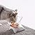 Cat Bowls 15° Tilted Platform Feeder Raised Feeding Bowl with 4 Stands for Pet Food Water