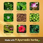 Navratna Gold Ayurvedic Hair Oil | with 24K Gold & 9 Ayurvedic Herbs | Lightweight, Non-Greasy & Fast-Absorbing | Relaxing Head Massage Oil | Deeply Nourishes Hair | 16.91 Fl Oz (500ml) - Image 5