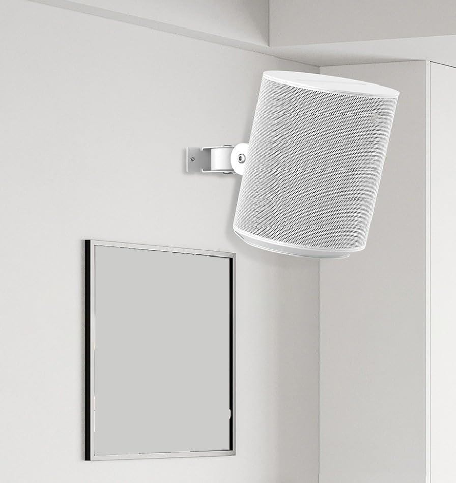 Compatibile con vari modelli: specificamente realizzato per altoparlanti intelligenti, una vestibilità aderente e un'installazione semplice per vari modelli popolari.