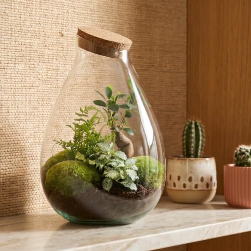 urbanjngl - Drop XL Terrarium Grün - DIY Kit für Pflanzen - Ø 24 cm Höhe 37 cm - Inklusive Kork - Ideal für EIN nachhaltiges Ökosystem