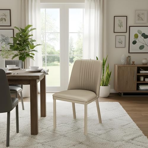 Image of Wakefit Taco Metal Dining Chair I Set of 2 I Leatherette Beige