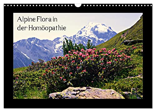 Alpine Flora in der Homöopathie (Wandkalender 2025 DIN A3 quer), CALVENDO Monatskalender