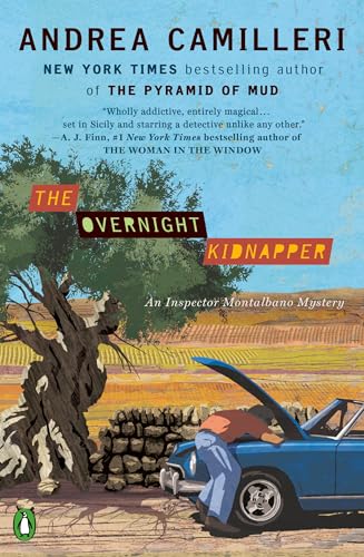 The Overnight Kidnapper view 2