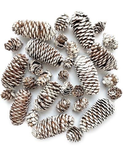 30 Stück Weihnachten Tannenzapfen, natürlichen Schnee Tannenzapfen Deko, Tannenzapfen für Weihnachtsbaum, adventskranz, Xmas DIY Crafts