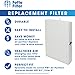 Fette Filter Air Purifier Filters. Compatible with HRF-R2, HRF-R3, Filter R (HRF-R2, 2-Pack)