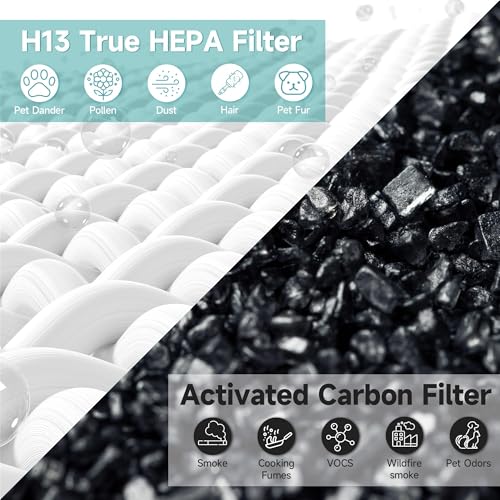 Image of Europa Replacement Filter Compatible with Afloia Europa Air Purifier, 3-in-1 H13 True HEPA Filter with Activated Carbon, 2 Pack