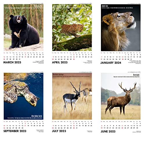 Image of Tallenge - JAMINI ROY- 2026 Wall Calendar - 12 x 17 Inches for Home & Office (Paper, Wall Calendar)