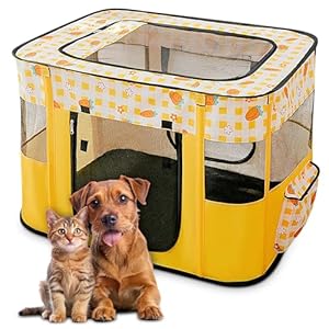 ALLSOPETS Faltbarer Hundelaufstall Gelbe Karotten XL