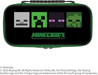 Nintendo Switch 2  EVA