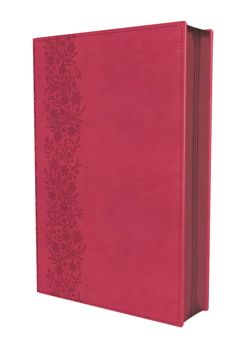 RVR60, Santa Biblia, Tierra Santa, Letra grande, Leathersoft, Fucsia, con Cierre, Palabras de Jesús en Rojo, Comfort Print (Spanish Edition)
