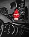 Little Trees Spice Air Freshener, (Pack of 24)