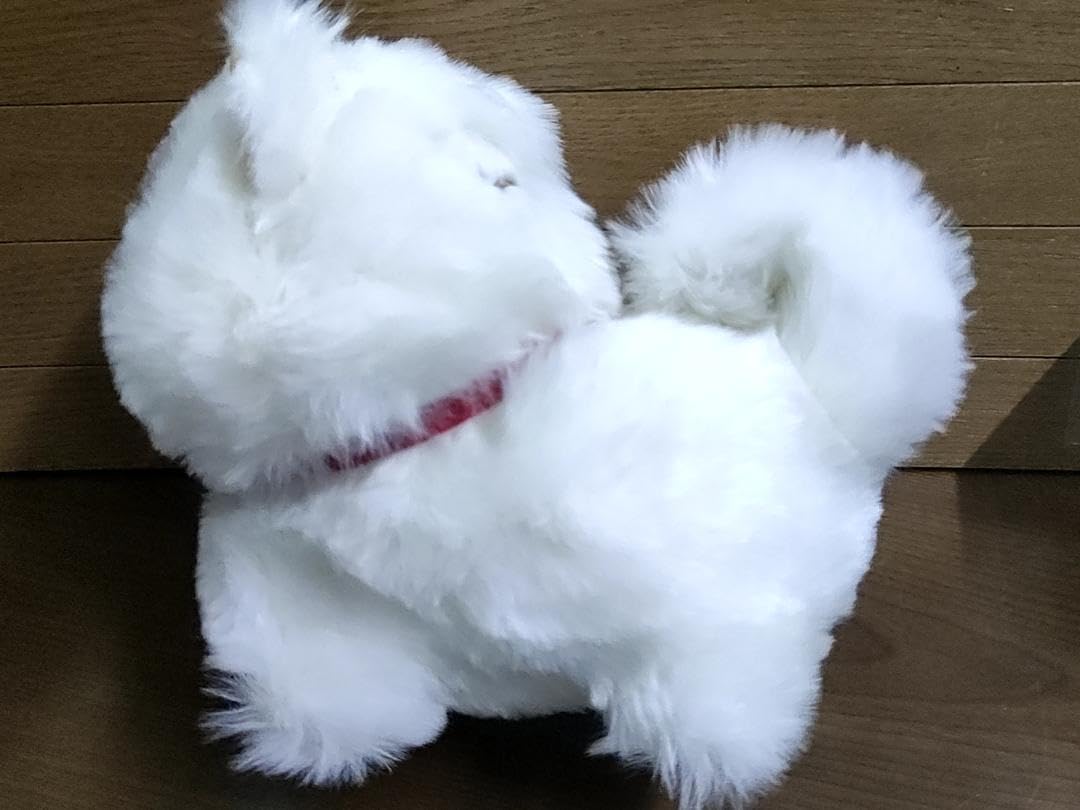 青森限定　鯵ヶ沢　わさお　ブサかわ犬　もふもふぬいぐるみ　ストラップ　マスコット Amazon.co.jp: 青森限定 秋田犬 わさお モフモフ ぬいぐるみ [全長23cm