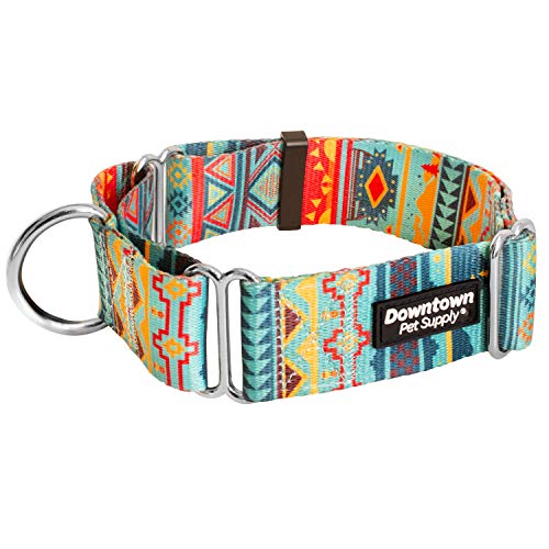 Downtown Pet Supply - Martingale Collar for Dogs - Dog Training Collar - Big, Wide & Thick Dog Collar - Escape-Proof…
