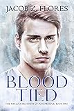 Blood Tied (The Warlock Brothers of Havenbridge Book 2)