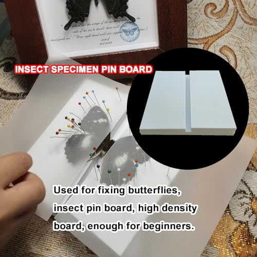 Image of 3 Pcs Insect Mounting & Spreading Kit - Adjustable EVA Foam Boards, Reversible Posing Tools for Butterflies & Insect Collections, Wide Spacing Design, Perfect for Bug Collectors to Preserve Specimens
