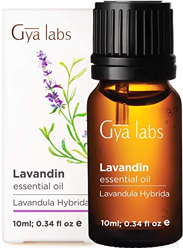 Aceite esencial de lavandina - Una brisa calmante de hidratación ligera para pieles secas (10 ml) - Aceite de lavandina de grado terapéutico 100% puro