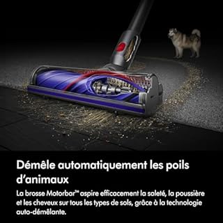 Dyson V8 Origin Aspirateur sans Fil, 115 AW, Jusqu’à 40 Min d’autonomie, Brosse Motorbar Anti-enchevêtrement, aspirateur à Main et Sol