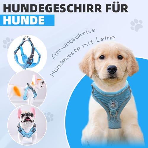 Hundegeschirr mit Hundeleine Set, Air-Mesh Atmungsaktiv Brustgeschirr für Kleine, Mittelgroße Hunde & Welpen, Weich Gepolstert Einstellbar Reflektierend Geschirr (Blau, S)