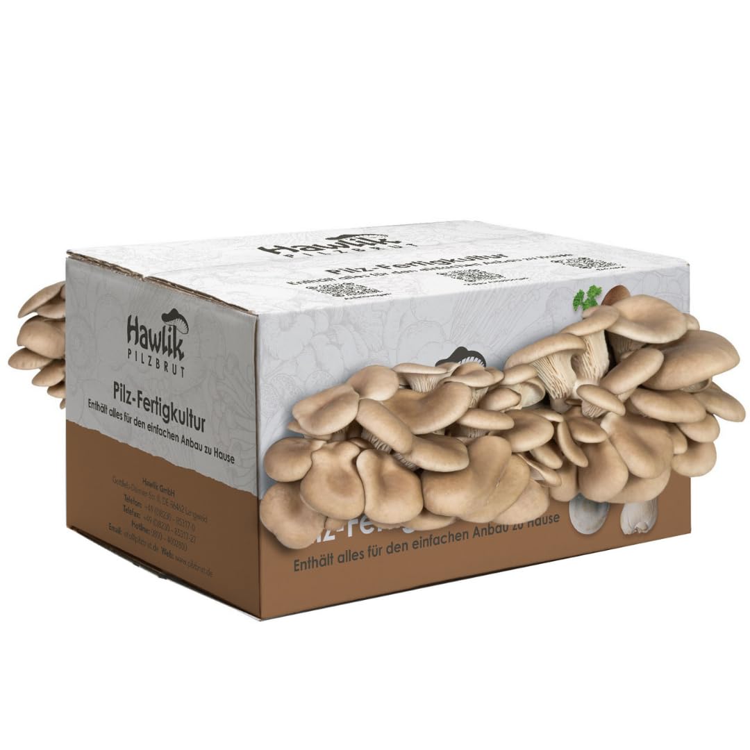 Hawlik Pilzbrut - Culture de pleurote en huître - Kit champignons à faire pousser soi-même - c'est un jeu d'enfant de récolter des pleurotes frais - Grande kit champignon